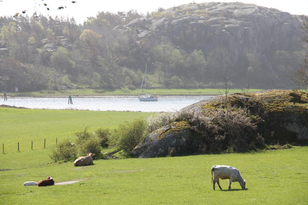 Ramsviks Overgard Hostel Hunnebostrand Luaran gambar